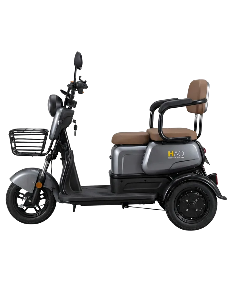 Triciclo Care - miniatura 3